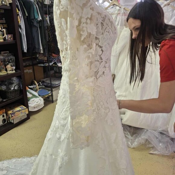 Pronovias "Electra" Bridal Gown (Unaltered) - Picture 5 of 9